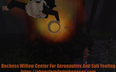 Duchess Willow’s Ebony Femdom School Of Aeronautics And Sub Yeeting